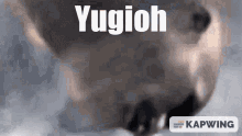 a close up of a cat 's face with the word yugioh on it