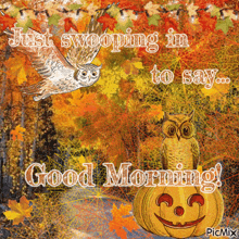 Good Morning Autumn Good Morning Fall GIF - Good Morning Autumn Good Morning Fall Good Morning Owl GIFs
