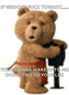 a teddy bear is hugging another teddy bear and says if wedont fuck tonight