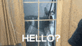 a husky dog is standing in a doorway with the words hello written on it
