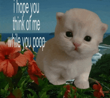 a picture of a kitten with the words i hope you think of me while you poop on it