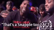 Snapple Top Fact GIF - Snapple Top Fact Facts GIFs