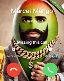 marcel mango is missing this call and has a beard