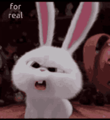 For Real Snowball GIF - For Real Snowball The Secret Life Of Pets GIFs