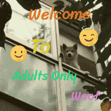 adults only welcome dog welcome to adults only wave