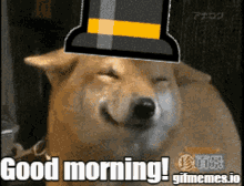 Dogecoin Go Brr Top Hat GIF - Dogecoin Go Brr Top Hat Max L GIFs