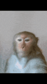 Monkey Confused GIF - Monkey Confused Hug GIFs