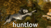 Huntlow Alpha And Omega GIF - Huntlow Alpha And Omega The Owl House GIFs