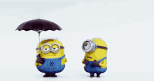 Umbrella GIF - Despicable Me Share Umbrella GIFs