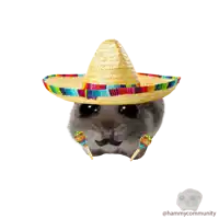 a hamster wearing a sombrero and maracas with the hashtag hammycommunity