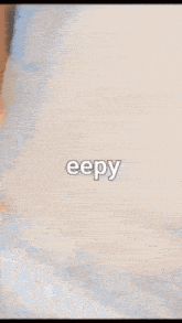 Eepy Eepy Cat GIF