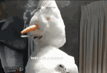 Durry Snowman GIF - Durry Snowman Smoking GIFs