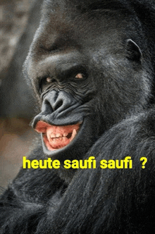 a picture of a gorilla with the words " heute saufi saufi " written below it