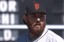 a bearded baseball player wearing a sf hat