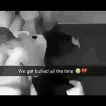 We Get Bullied All The Time GIF - We Get Bullied All The Time GIFs