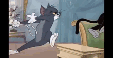Tom And Jerry Chase GIF - Tom And Jerry Tom Chase GIFs