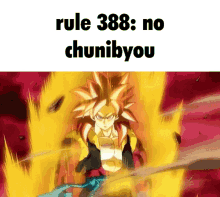 rule338 goku gokurules rule dbz rules