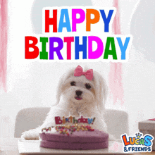a small white dog with a pink bow on its head sits in front of a birthday cake that says happy birthday