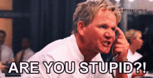 Are You Stupid Gordon Ramsay GIF - Are You Stupid Stupid Gordon Ramsay GIFs