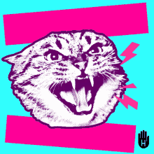 cat hiss dont tell me what to do angry mad