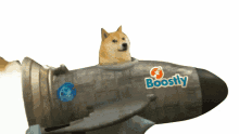 boostlycoin dogecoin