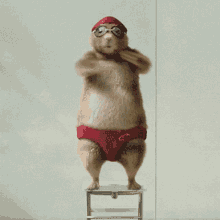 Dance Squirell GIF - Dance Squirell Warm Up GIFs