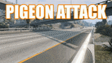 a highway with the words pigeon attack on the bottom