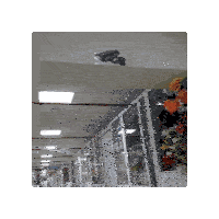 a security camera is mounted on the ceiling of a hallway .