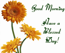 Good Morning Daisy GIF - Good Morning Daisy Flower GIFs