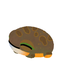 a frog with big red eyes and the words good morning behind it