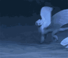 Light Fury Beautiful GIF - Light Fury Beautiful How To Train Your Dragon GIFs