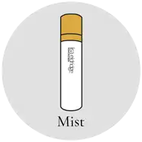 a bottle of lisa eldridge stainless skin mist on a white background