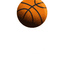 basketball no