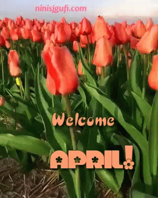 welcome april images