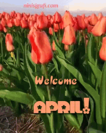 Welcome April Spring GIF - Welcome April Spring Thanks GIFs