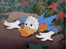 Donald Duck GIF - Donald Duck Donald Duck GIFs