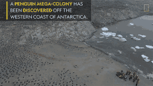 colony colony