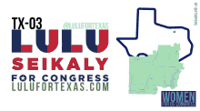 Lulu Seikaly Lulu For Congress GIF - Lulu Seikaly Lulu For Congress Lulu For Texas GIFs