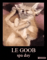 Le Goob Happy GIF - Le Goob Happy Spa Day GIFs