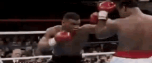Mike Tyson Boxing GIF - Mike Tyson Boxing Fight GIFs