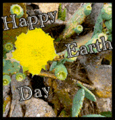 a cactus with a yellow flower and the words happy earth day below it