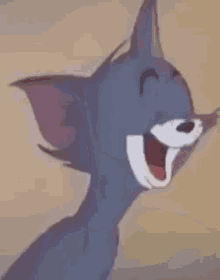 Tom Tom And Jerry GIF - Tom Tom And Jerry Tom Laughing GIFs