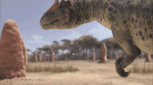 allosaurus turning around dinosaur look