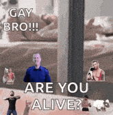 a poster that says gay bro are you alive on it