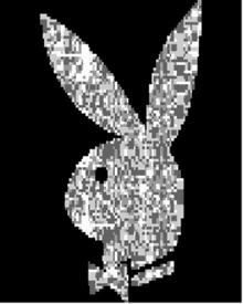 playgirl bunny logo sparkle