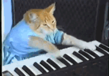 Keybaord Skrillex 2 GIF - Cat Piano Keyboard GIFs
