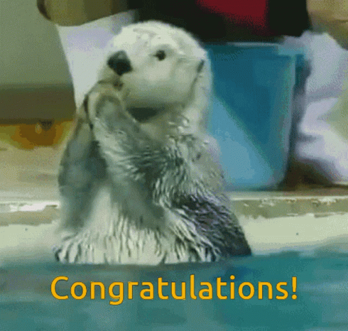 congratulations cute animal
