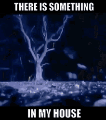 Something In My House Dead Or Alive GIF