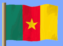 kamerun flag