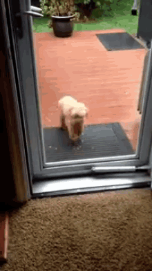 Helping A Bro Out GIF - Icky Dog Friends GIFs